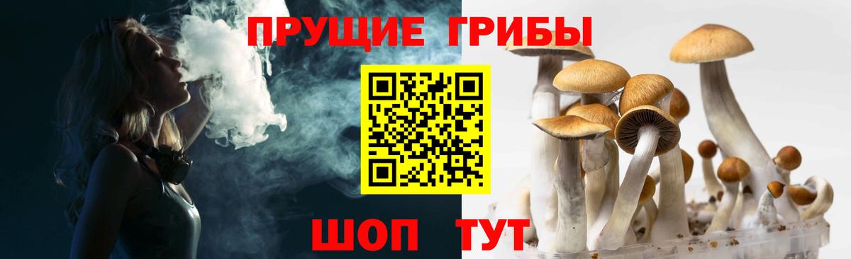 Галлюциногенные грибы Psilocybe  где можно купить наркотик  Ярославль  Вход с VPN 